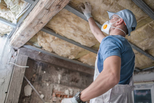 Best Geographic-Specific Insulation Services in Hueytown, AL
